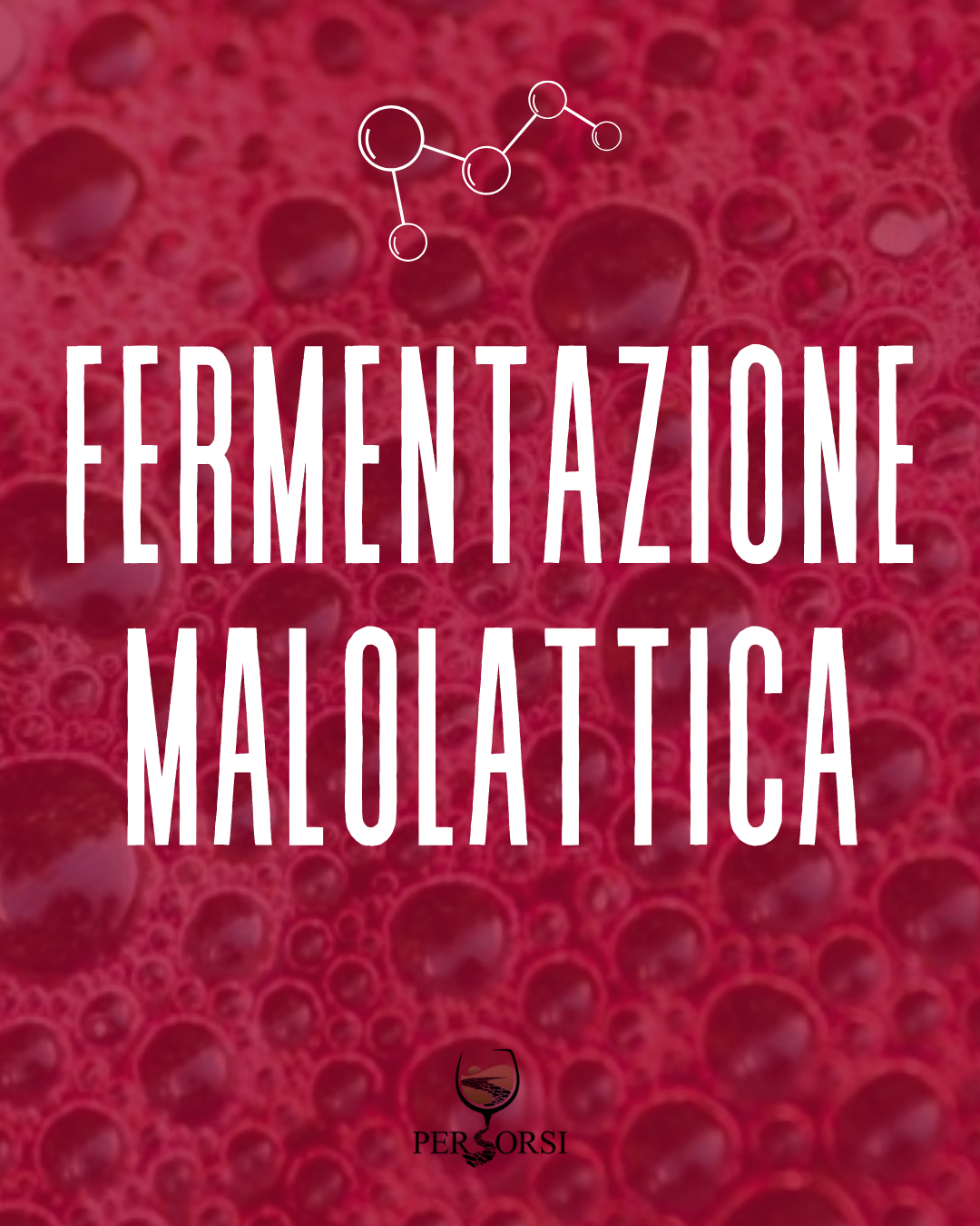La fermentazione malolattica: cos'è, come avviene e perché conta nel vino