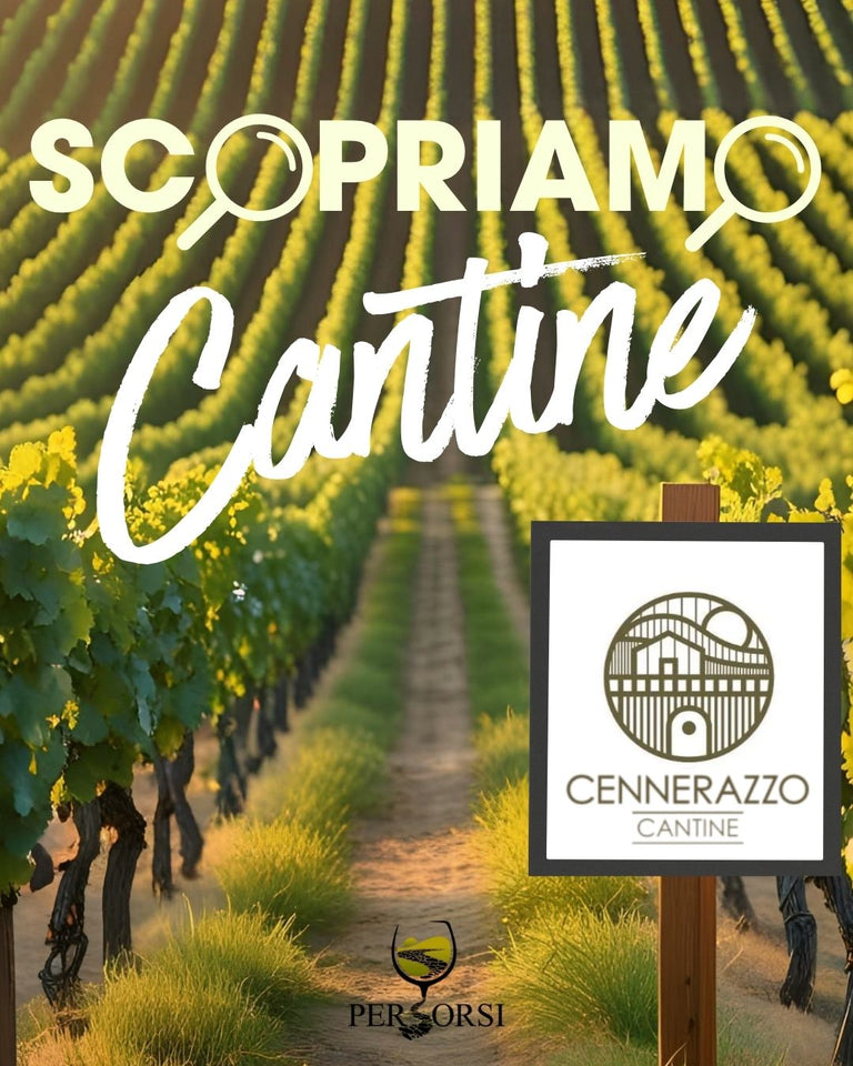 Scopriamo Cantine: Cennerazzo - Tradizione, Territorio e una Sola Passione