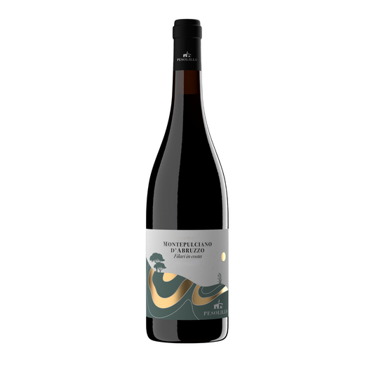 Bottiglia di Filari in Costa Montepulciano d'Abruzzo DOC - Pesolillo