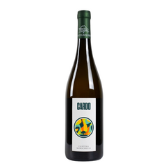 Cardo - Cantina Morichelli