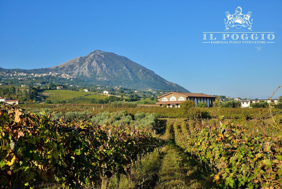 Il Poggio